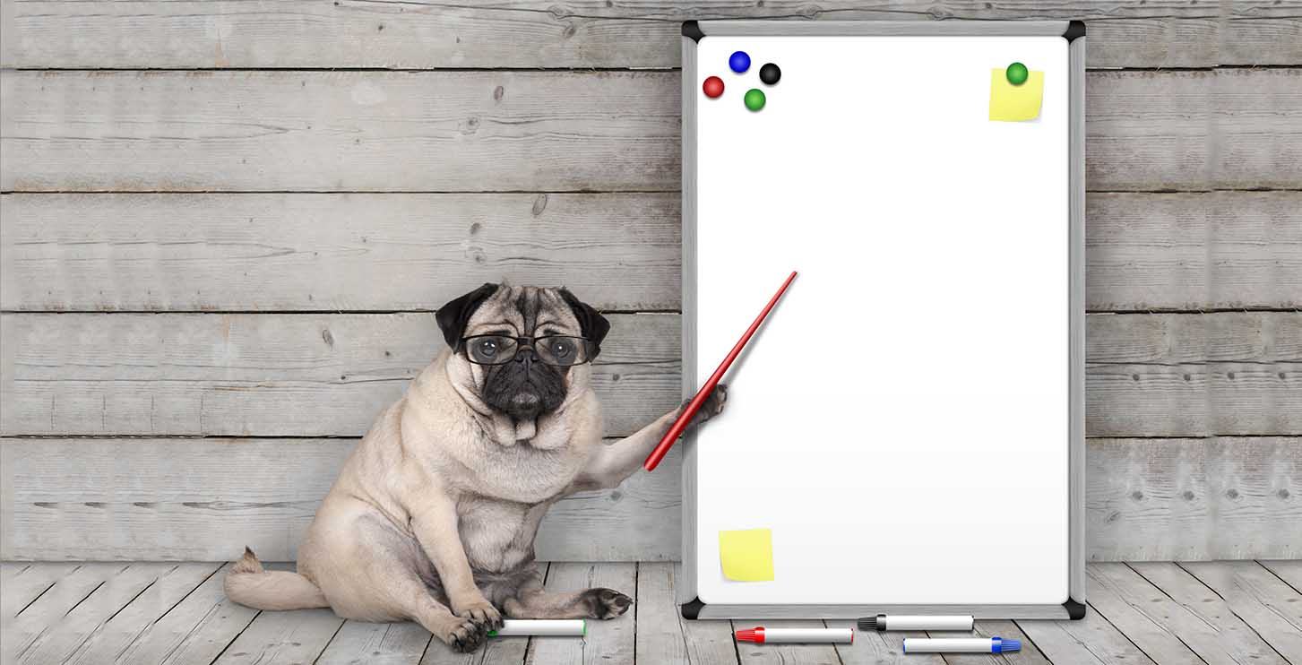 dog making very, very important social media marketing plans