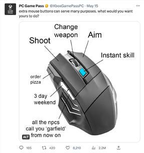mouse