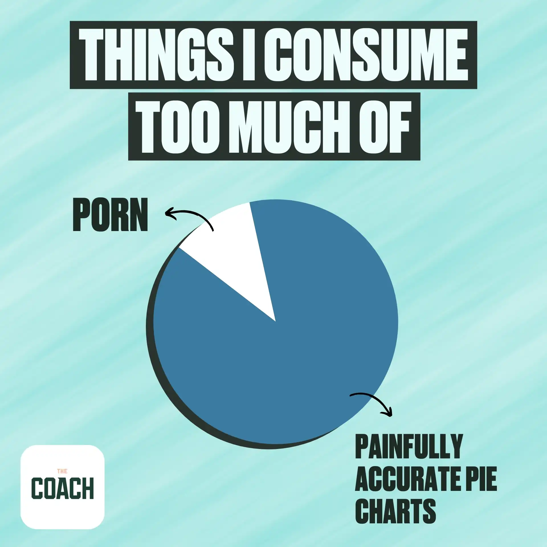 The Coach creative